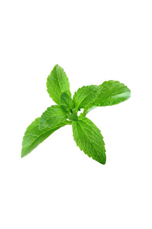 Süper Paket 100 Adet Tohum Stevia Tohumu Şeker Otu Tohumu Şekerotu Tohumu