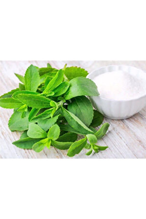 Eko Paket 40 Adet Tohum Stevia Tohumu Şekerotu Tohumu Şeker Otu Tohumu