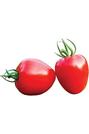 Nadir Ithal Tomatoberry Çilek Domatesi Tohumu Domates Tohumu 5 Tohum
