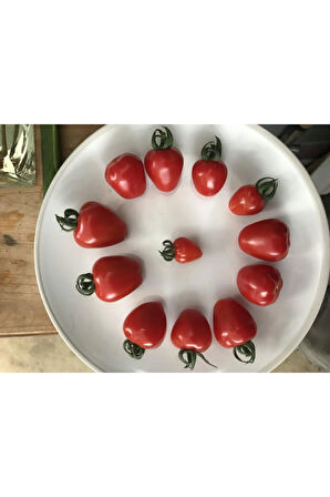Nadir Tomatoberry Çilek Domatesi Ekim Seti Çilek Domates Tohumu 10 Tohum Saksı Toprak Kombin