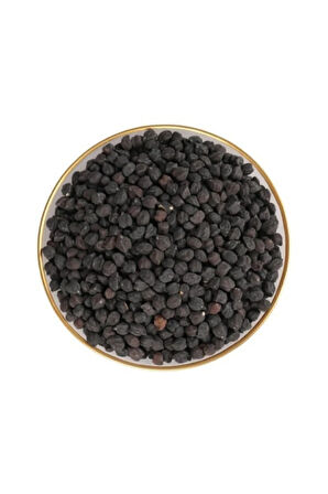 Nadir Ithal Siyah Nohut Tohumu Ekim Seti 10 Tohum Kara Nohut Saksı Toprak Kombin