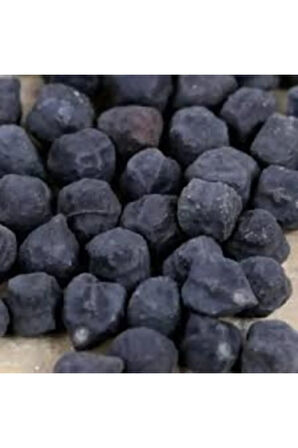 Nadir Ithal Siyah Nohut Tohumu Ekim Seti 10 Tohum Kara Nohut Saksı Toprak Kombin