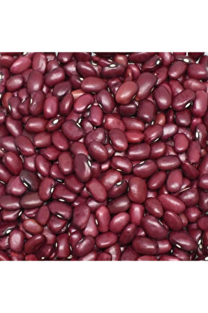 Nadir Ithal Kırmızı Meksika Fasulyesi Tohumu Ekim Seti 10 Tohum Saksı Toprak Kombin