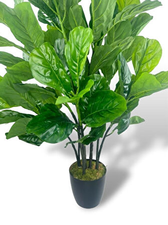 Yapay Ağaç Keman Yapraklı Kavuçuk Yeşil Salon Bitkisi Siyah Saksıda 140cm