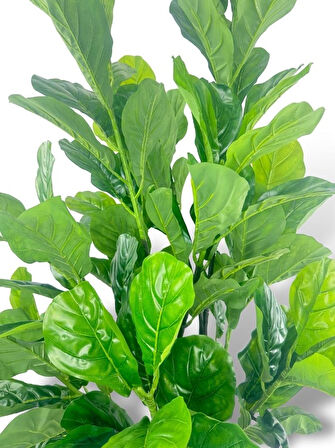 Yapay Ağaç Keman Yapraklı Kavuçuk Yeşil Salon Bitkisi Siyah Saksıda 140cm