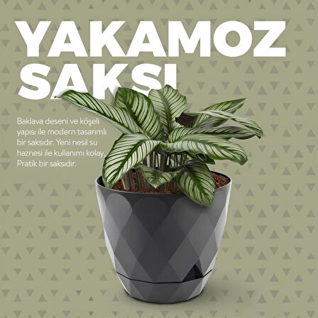 Omnipazar KRS-450 Yakamoz Tabaklı Plastik Saksı Takımı 0.3 Litre No 0