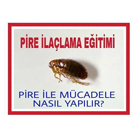 Tahta kurusunu öldüren en etkili ilaç, tahtakurusunu ne öldürür Dünyanın en iyi böcek öldüren ilacı