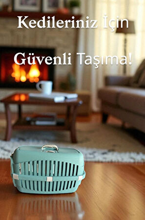 pet kedi köpek taşıma çantası - evcil hayvan seyahat çantası
