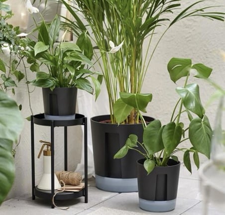 IKEA VARDTRAD sulama düzenekli saksı, antrasit, 9 cm, iç-dış mekan 