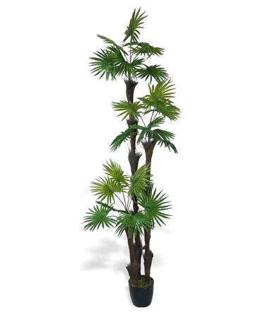 Yapay Ağaç Palmiye Fanpalm 3Katlı 24Yaprak Siyah Plastik Saksıda 165*65cm