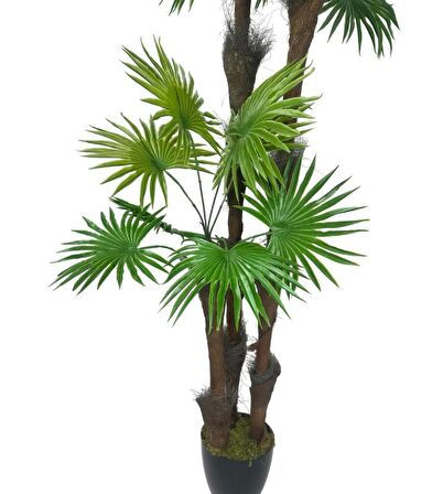 Yapay Ağaç Palmiye Fanpalm 3Katlı 24Yaprak Siyah Plastik Saksıda 165*65cm