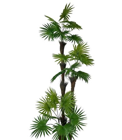Yapay Ağaç Palmiye Fanpalm 3Katlı 24Yaprak Siyah Plastik Saksıda 165*65cm