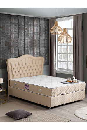 Camelli New Ikili Set, Çift Baza Başlık Seti