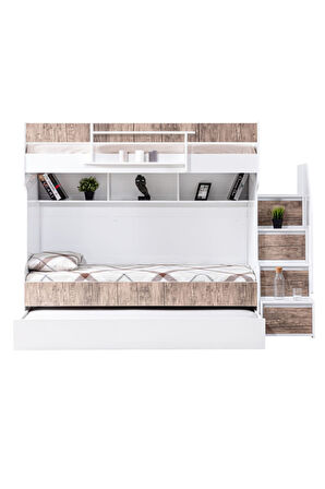 Ranza, Cesur Yavrulu Ranza - Ceviz 3 Adet Comfort Yatak