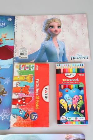 x Dekomus Lisanslı Elsa Frozen 40 Parça Boyama Seti Resim Defteri,Kuru Boya,Pastel Boya,Sulu Boya, 2 Adet Figürlü Kurşun Kalem, Yıldız Kalemtraş, Silgili Kurşun Kalem Ve Silgi Seti