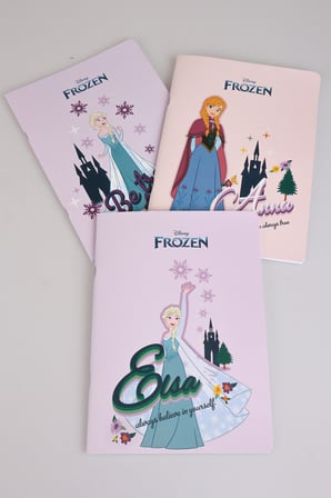 x Dekomus Lisanslı Elsa Frozen Tekli Çizgili Stickerlı Defter 40 Yaprak “Dekomus Cep Defteri Hediyeli”