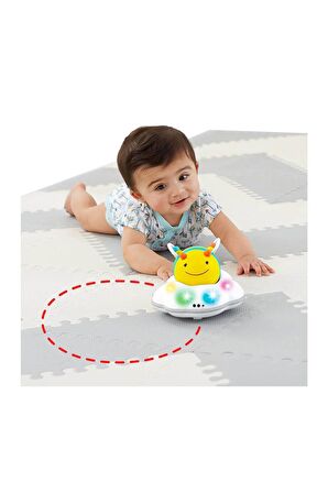 Skip Hop E&M Follow-Bee Crawl Toy