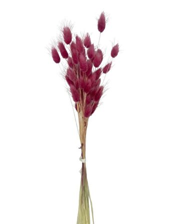 Kuru Çiçek Doğal BORDO AÇIK Pamuk Otu 10gram 1. Kalite Şoklanmış Bozulmaz