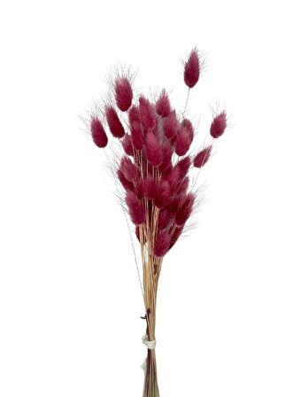 Kuru Çiçek Doğal BORDO AÇIK Pamuk Otu 10gram 1. Kalite Şoklanmış Bozulmaz
