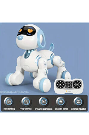 Oyuncak 30 Fonksiyon Uzaktan Kumandalı Şarjlı Sesli Işıklı Dokunma Algılama Programlama Robot Köpek
