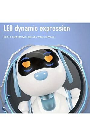 Oyuncak 30 Fonksiyon Uzaktan Kumandalı Şarjlı Sesli Işıklı Dokunma Algılama Programlama Robot Köpek