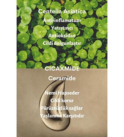 Dermal Cica x Mide Serum Centella Asiatica ve Seramid Özlü Serum 50 ml