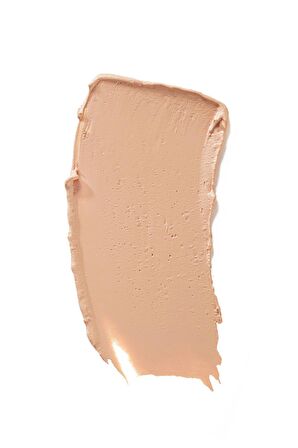 Flormar Likit Kapatıcı - Perfect Coverage Concealer - 020 Fair-Light - 8690604558056