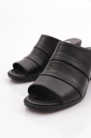 Dgn 2201 Kadın Terlik