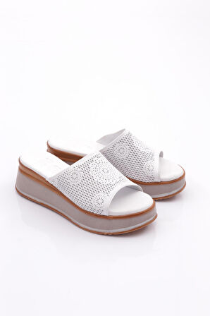 Dgn 2000 Kadın Terlik