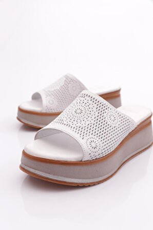 Dgn 2000 Kadın Terlik