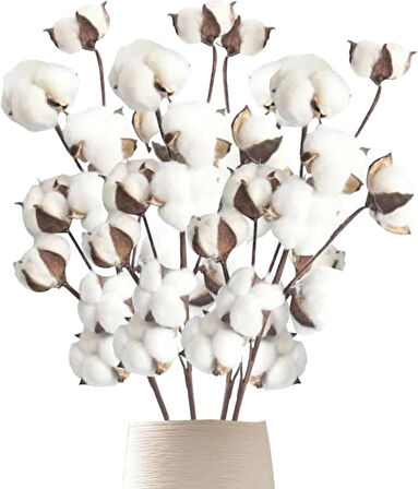 3lü Set Doğal Pamuk Çiçeği 9lu Kuru Çiçek 60cm Yapay Çiçek 