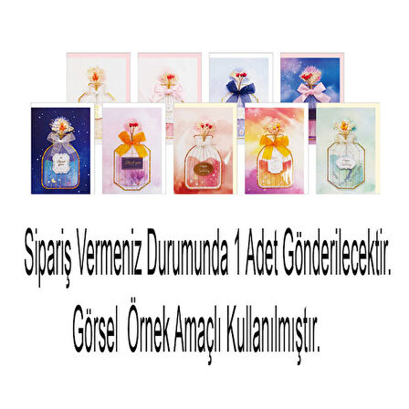 Morning Glory Tebrik Kartı 27050-81111