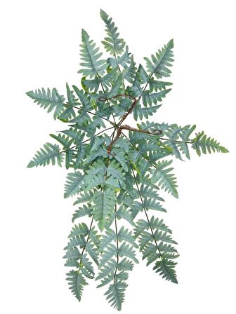 Yapay Çiçek Pastel Cycas Aşk Merdiveni 80cm Eğrelti Otu Sıkas Bitkisi 12 Yaprak 40*80cm Yapay Bitki