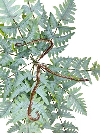 Yapay Çiçek Pastel Cycas Aşk Merdiveni 80cm Eğrelti Otu Sıkas Bitkisi 12 Yaprak 40*80cm Yapay Bitki