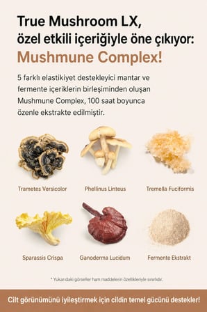 The Saem True Mushroom LX Cilt Bakım Seti Sıkılaştırıcı ve Yoğun Nemlendirici
