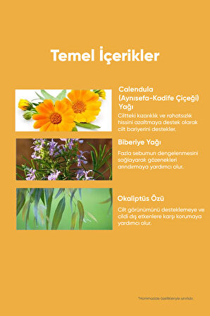 Aynısefa İçeren Gözenek Arındırıcı Makyaj Temizleme Yağı A'PIEU Calendula Cleansing Oil Pore Melting