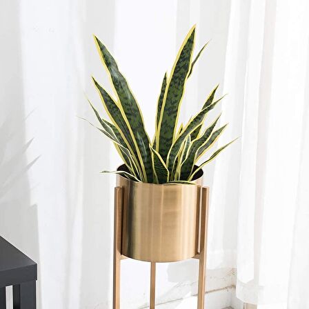 Yapay Çiçek Saksılı Yeşil Kılıç Çiçeği Dal 68cm Salon Çiçeği Metal Mat Siyah Saksılı Yapay Bitki