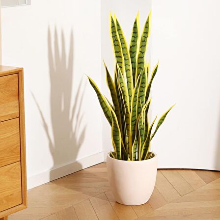 Yapay Çiçek Saksılı Yeşil Kılıç Çiçeği Dal 68cm Salon Çiçeği Metal Mat Siyah Saksılı Yapay Bitki