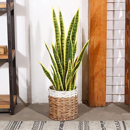 Yapay Çiçek Saksılı Yeşil Kılıç Çiçeği Dal 68cm Salon Çiçeği Metal Mat Siyah Saksılı Yapay Bitki