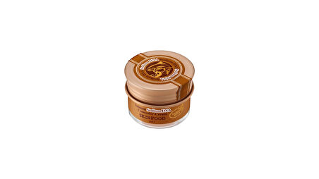  Skinfood Salmon Sodium Dna Concealer Cream No.2 Beige