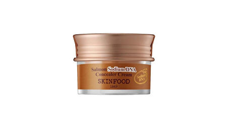 Skinfood Salmon Sodium Dna Concealer Cream No.1 Vanilla 