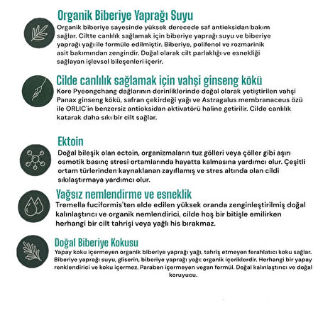 Rosemary & Ectoin Youth Cream- Biberiye & Ektoin Özlü Yaşlanma Karşıtı Nemlendirici Yüz Kremi