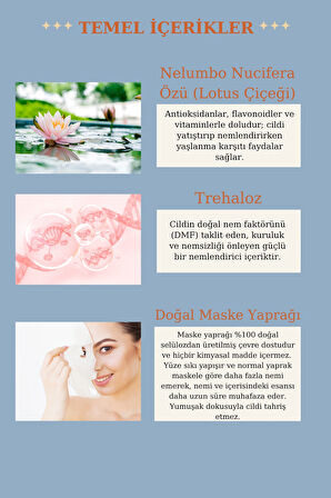 Ovaco Nemlendirici ve Yatıştırıcı Yaprak Maske | Derin Nemlendirme ve Lotus Özü | Trehaloz ve Vitamin Kompleksi İçerir