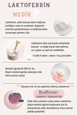 Hyalferrin Biogen Signal Cream | 50 ml | Laktoferrin ve Hyaluronik Asit ile Cilt Bariyeri Güçlendirici Yüz Kremi | Dünyada İlk Cilt İçin Optimize Edilmiş Laktoferrini