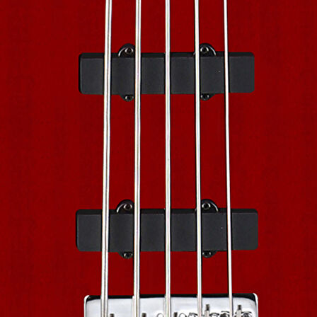 AB5PLUSBK Action Bass V Plus Siyah 5 Telli Bas Gitar