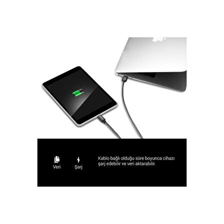 Essential USB-C to USB-A 3.1 Hızlı Şarj ve Data Kablo (1 Metre) C10C0 - SGP11579