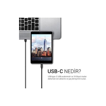 Essential USB-C to USB-A 3.1 Hızlı Şarj ve Data Kablo (1 Metre) C10C0 - SGP11579