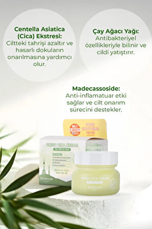 Fresh Cica Cream Akne Karşıtı Sebum Dengeleyici Nemlendirici Yüz Kremi Kore 60ml