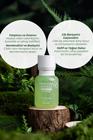 Fresh Cica Ampoule Yağlı Ve Hassas Cilt Sebum Dengeleyici Ampul Çay Ağacı Yağı Kore 55ml