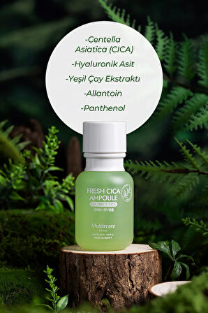 Fresh Cica Ampoule Yağlı Ve Hassas Cilt Sebum Dengeleyici Ampul Çay Ağacı Yağı Kore 55ml
